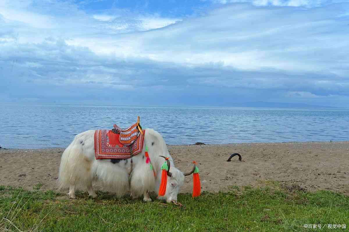 去青海穿什么衣服